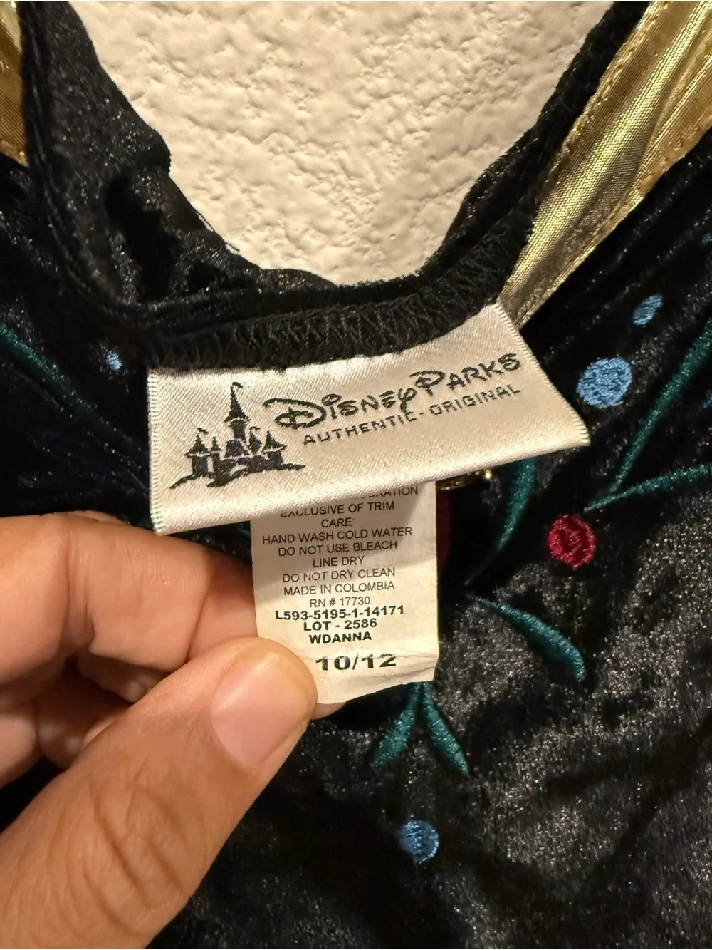 Disney Parks Anna Coronation Dress Kids Frozen Costume Princess